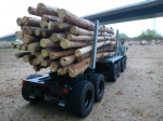 MAZ 537 "Logging Truck" ila_rendered